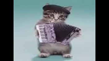 Play Musica verdadeira